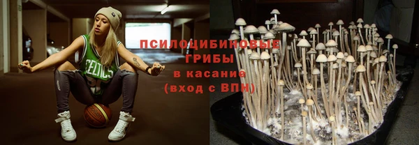 a pvp Михайловка