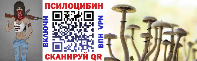 Псилоцибиновые грибы мицелий  сколько стоит  сайты даркнета Telegram  Сердобск 