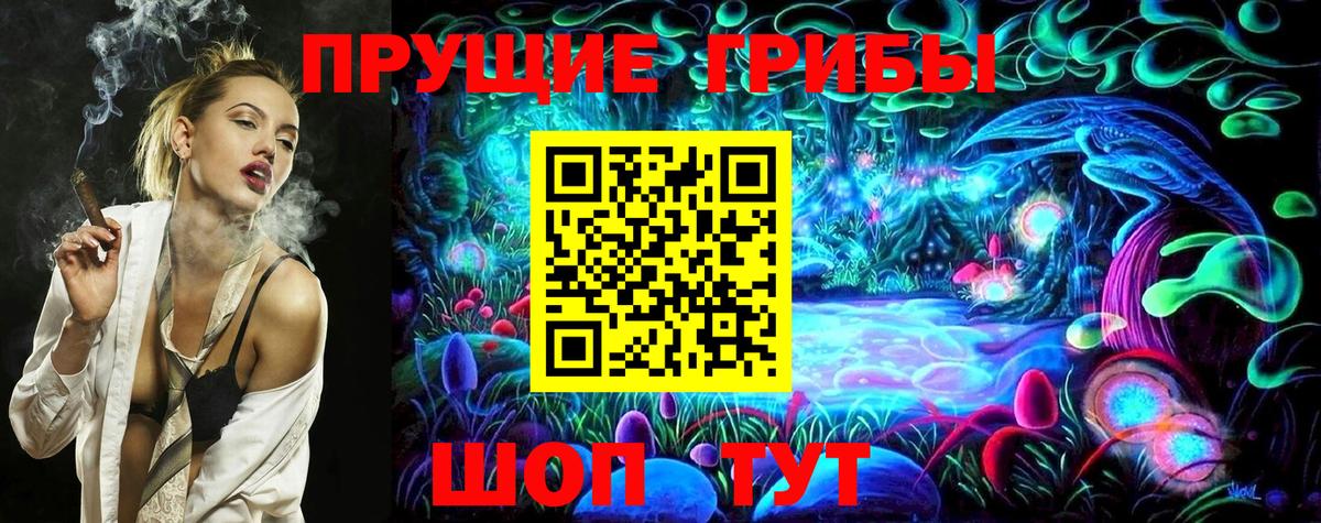 Псилоцибиновые грибы прущие грибы  Псилоцибиновые грибы Cubensis  купить наркотики цена  Вход с VPN  Сердобск 