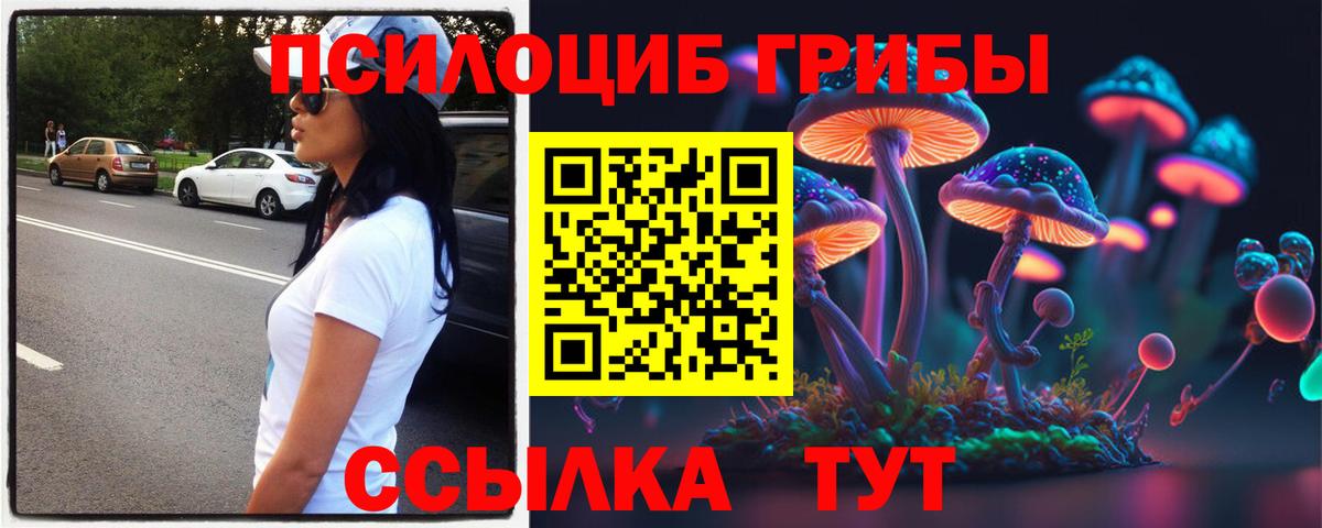 Псилоцибиновые грибы мицелий  Сердобск  Галлюциногенные грибы Magic Shrooms 